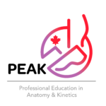 Professional Education in Anatomy& Kinetics (sponsored by CCAE)