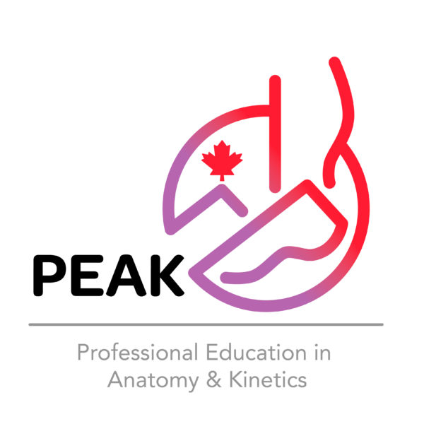 Professional Education in Anatomy& Kinetics (sponsored by CCAE)